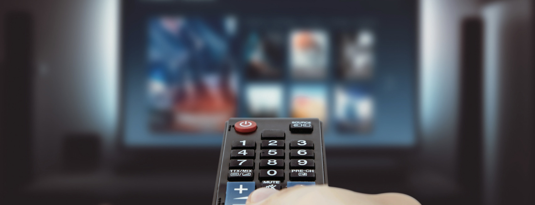 What is the future of the Television and Video Industry?